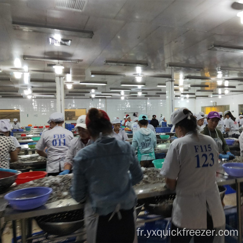 Ligne de production entièrement automatique pour les fruits de mer